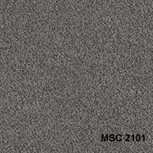 MSC2101