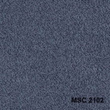 MSC2102