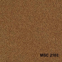 MSC2103