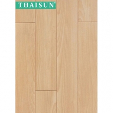 ThaiSun - A1216